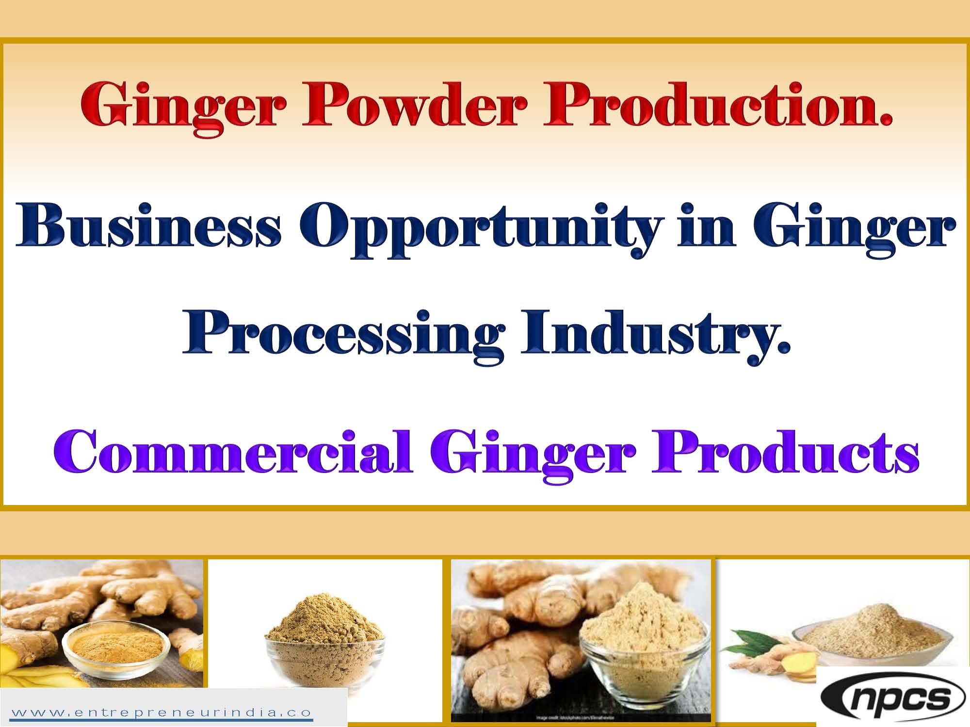 ginger production business plan
